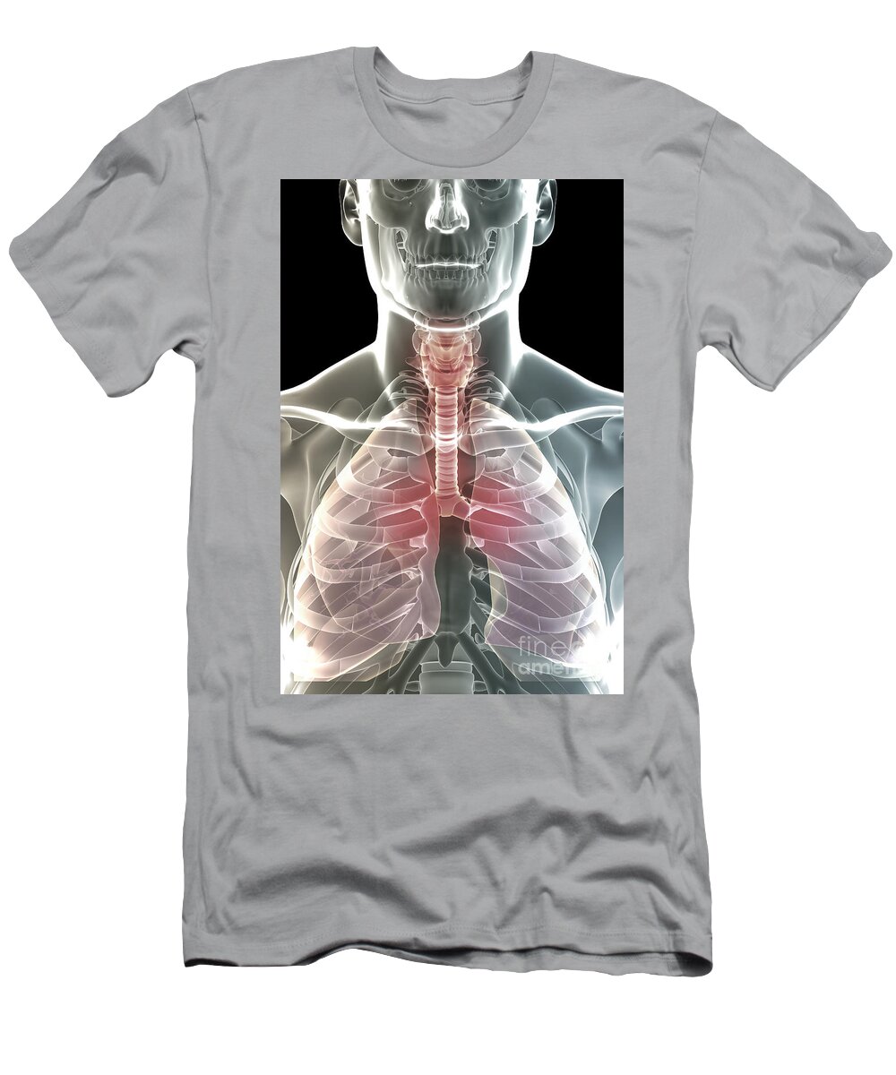 Illness T-Shirt featuring the photograph The Respiratory System #13 by Science Picture Co