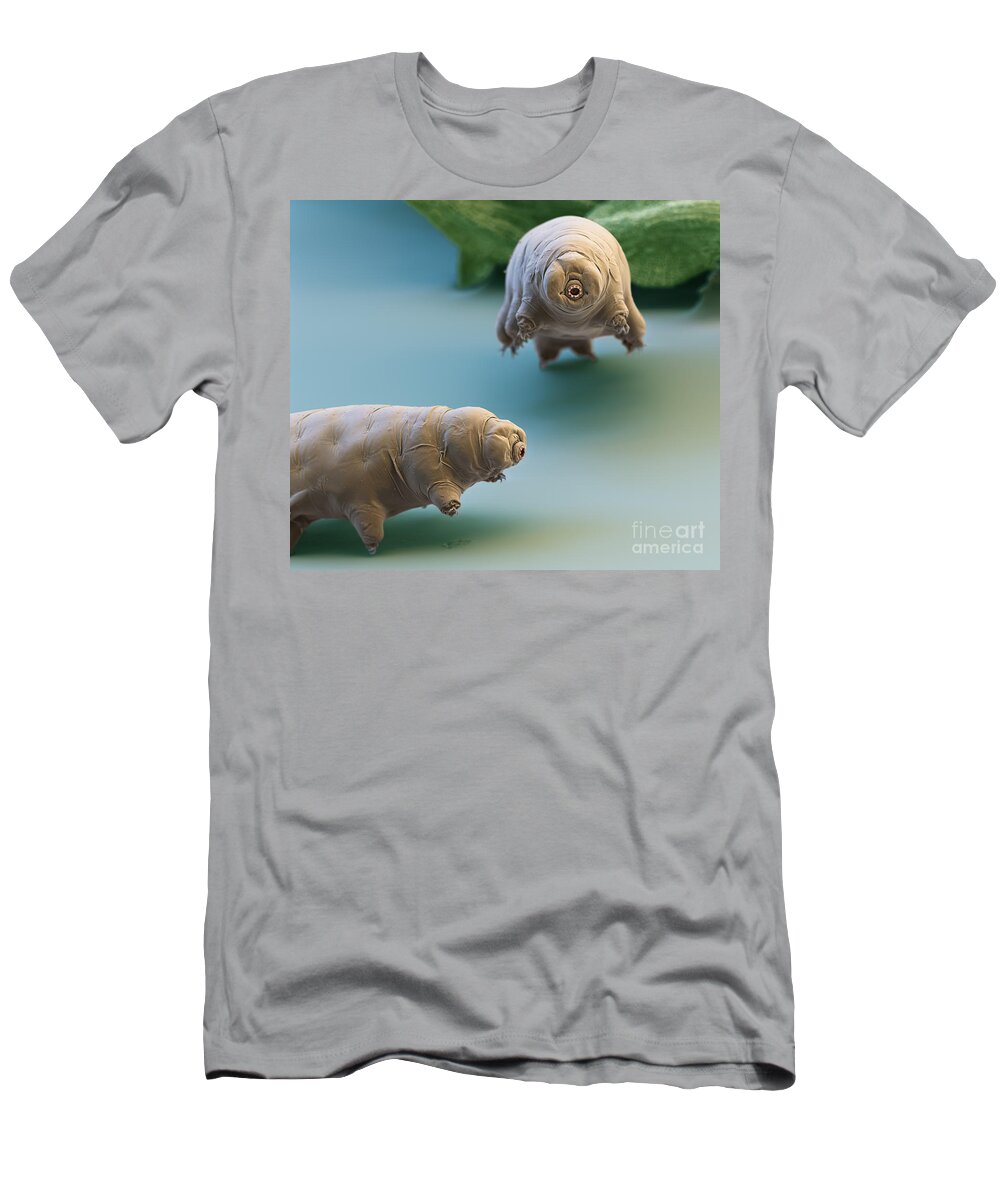 Paramacrobiotus Fairbanki T-Shirt featuring the photograph Water Bear by Eye of Science and Science Source