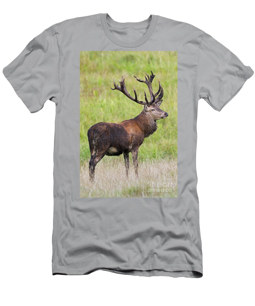Red Deer T-Shirt featuring the photograph 140314p107 by Arterra Picture Library