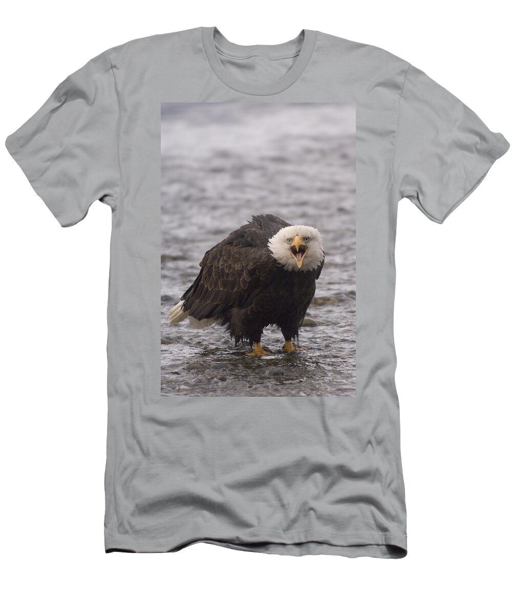 Feb0514 T-Shirt featuring the photograph Bald Eagle Calling Alaska #2 by Michael Quinton