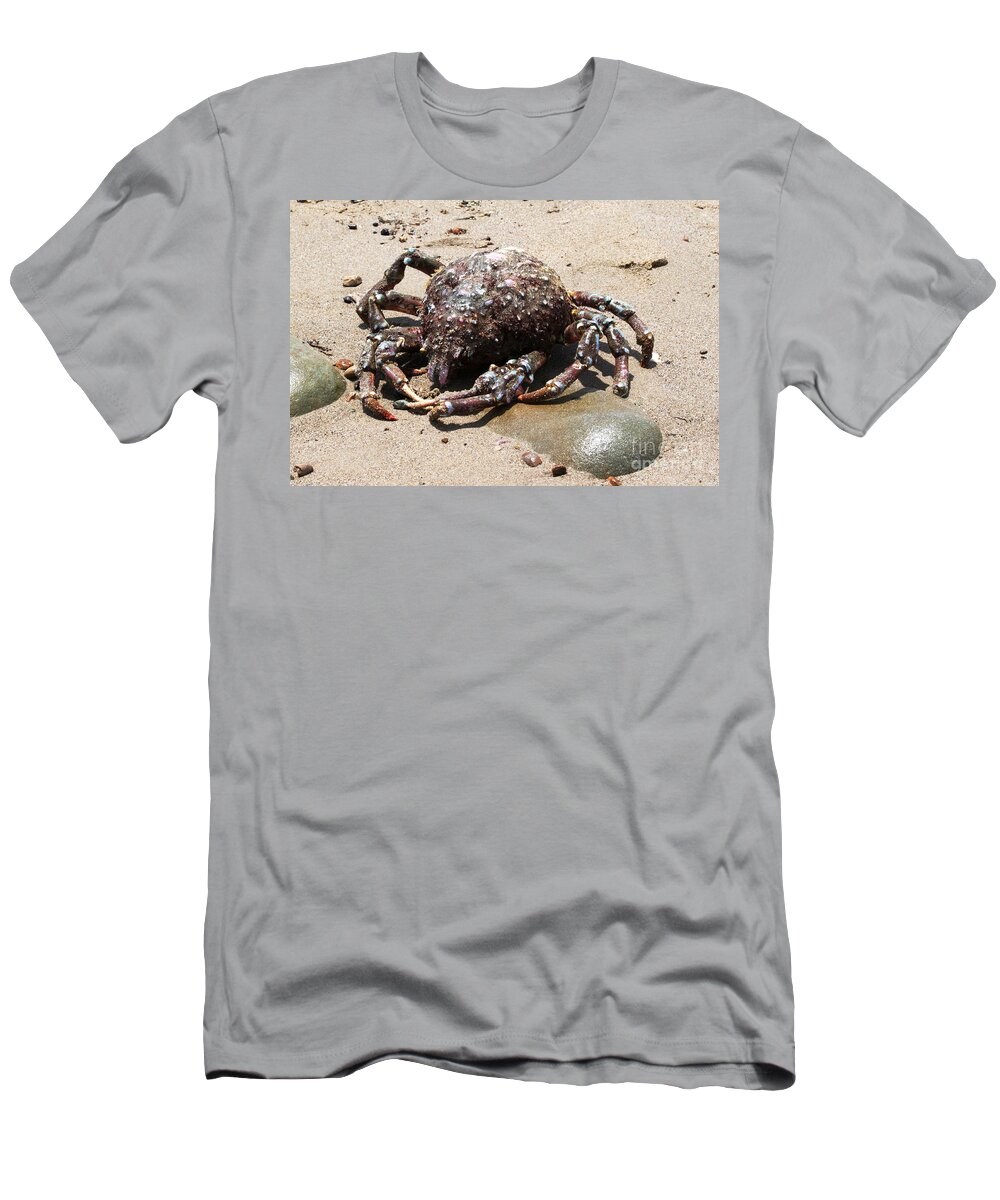 Spider T-Shirt featuring the photograph Crab Beach #2 by Henrik Lehnerer
