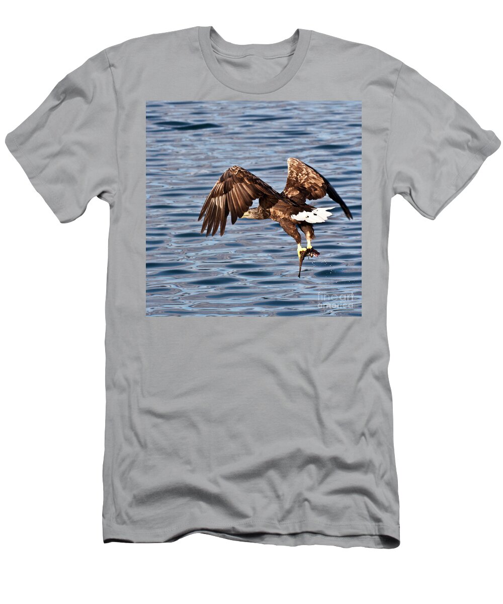 White_tailed Eagle T-Shirt featuring the photograph European Fishing Sea Eagle 4 by Heiko Koehrer-Wagner