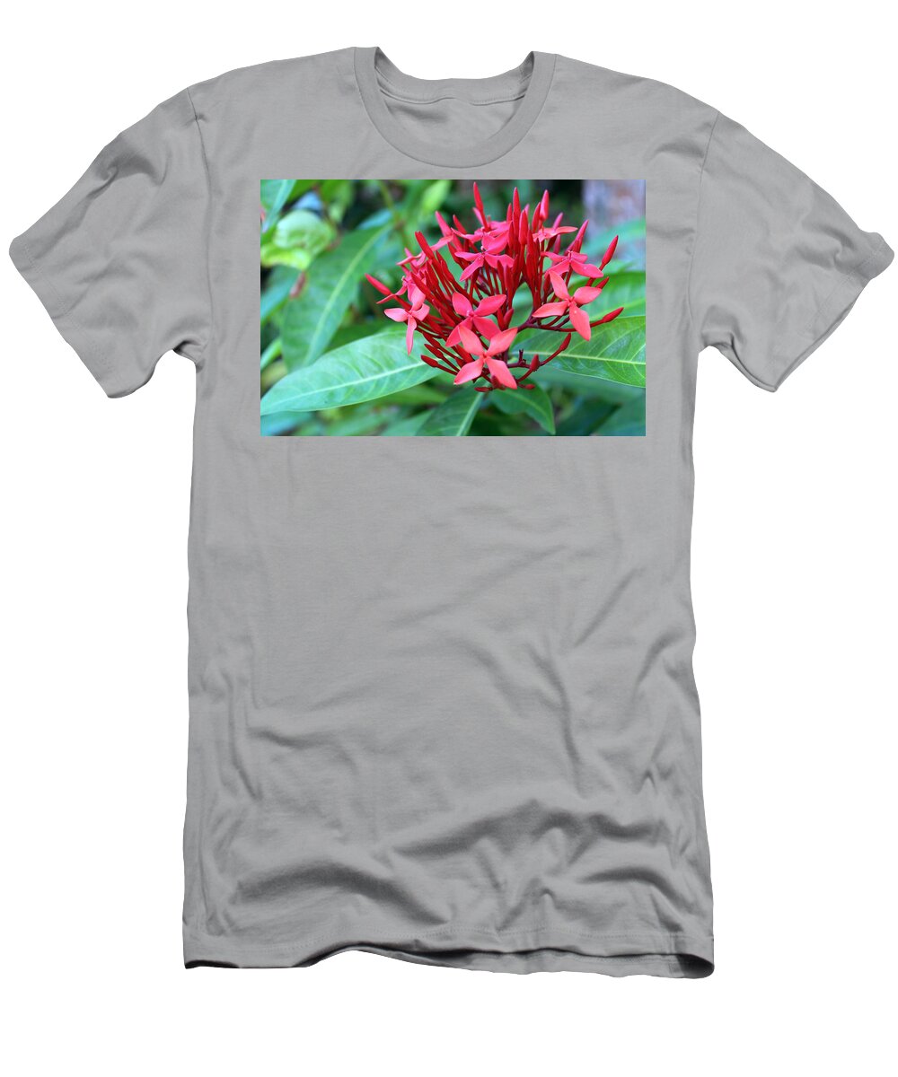 Flowers T-Shirt featuring the photograph Jamaican Red #2 by Samantha Delory