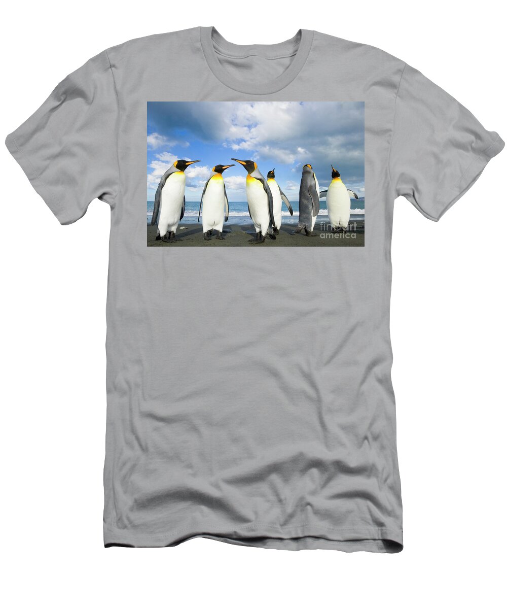 00345362 T-Shirt featuring the photograph King Penguins in Gold Harbour by Yva Momatiuk John Eastcott