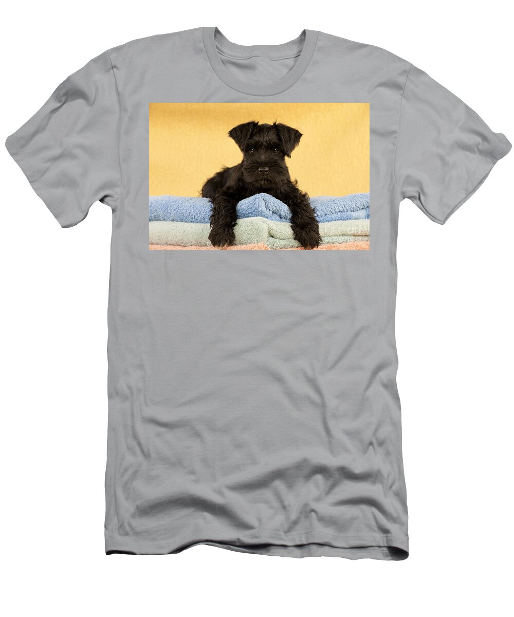 Dog T-Shirt featuring the photograph Miniature Schnauzer Puppy by John Daniels