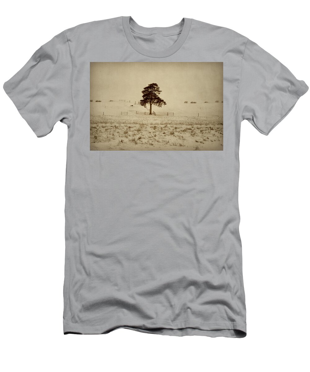 Tree T-Shirt featuring the photograph Ida Grove Evergreen by Julie Hamilton