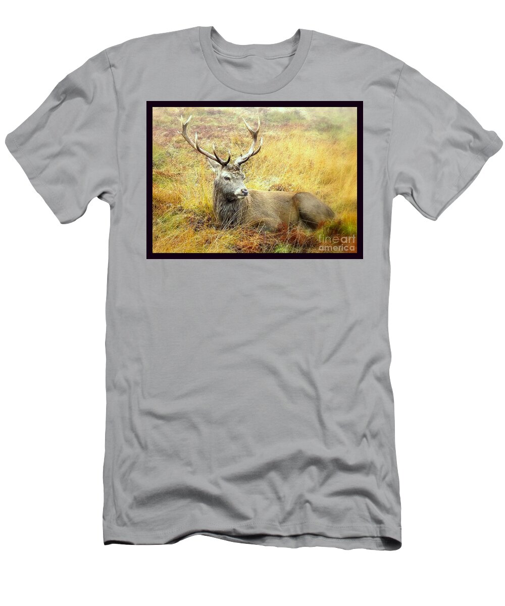 Deer T-Shirt featuring the photograph Wildlife Fine Art Resting stag by Linsey Williams