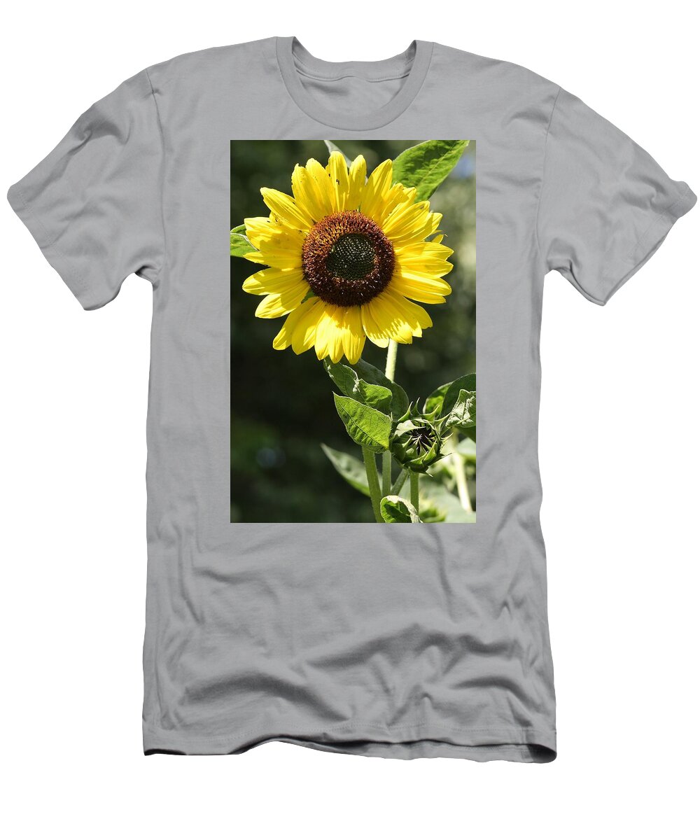 Flora T-Shirt featuring the photograph Sunbathing #4 by Bruce Bley