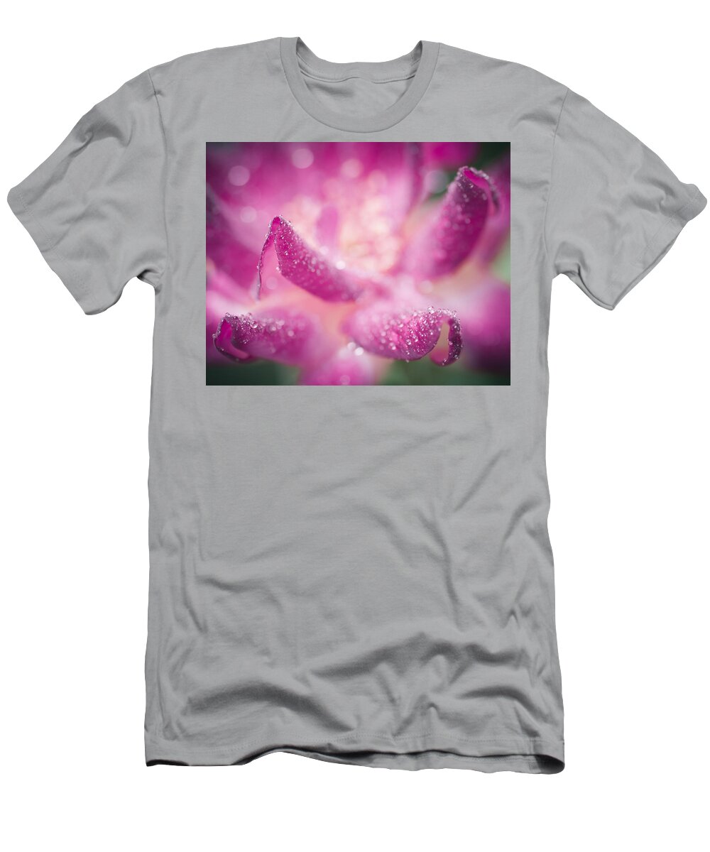 Flower T-Shirt featuring the photograph Winter Rose #1 by Priya Ghose