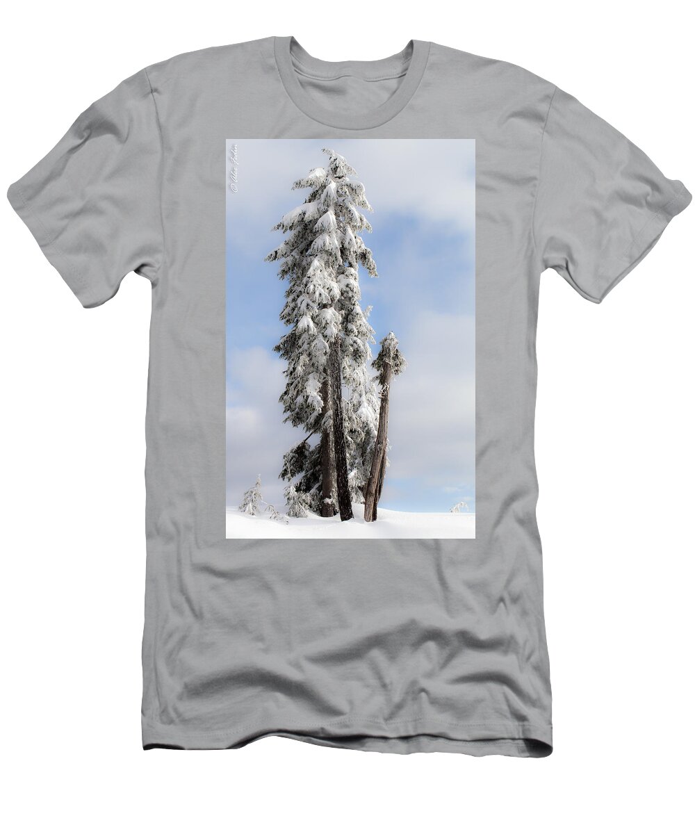 Landscape T-Shirt featuring the photograph Winter Trees #2 by Alexander Fedin