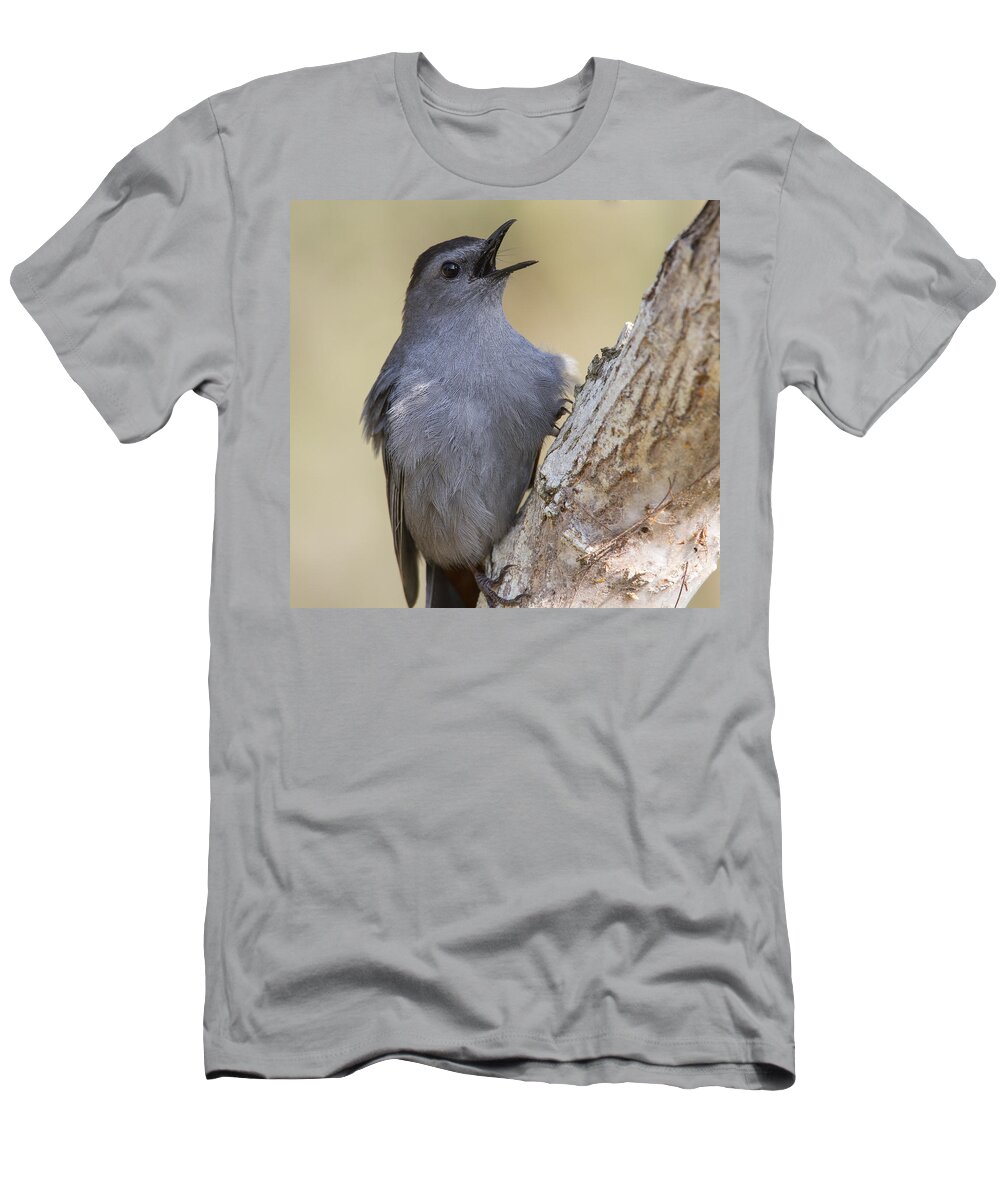 Doug Lloyd T-Shirt featuring the photograph Gray Catbird #3 by Doug Lloyd