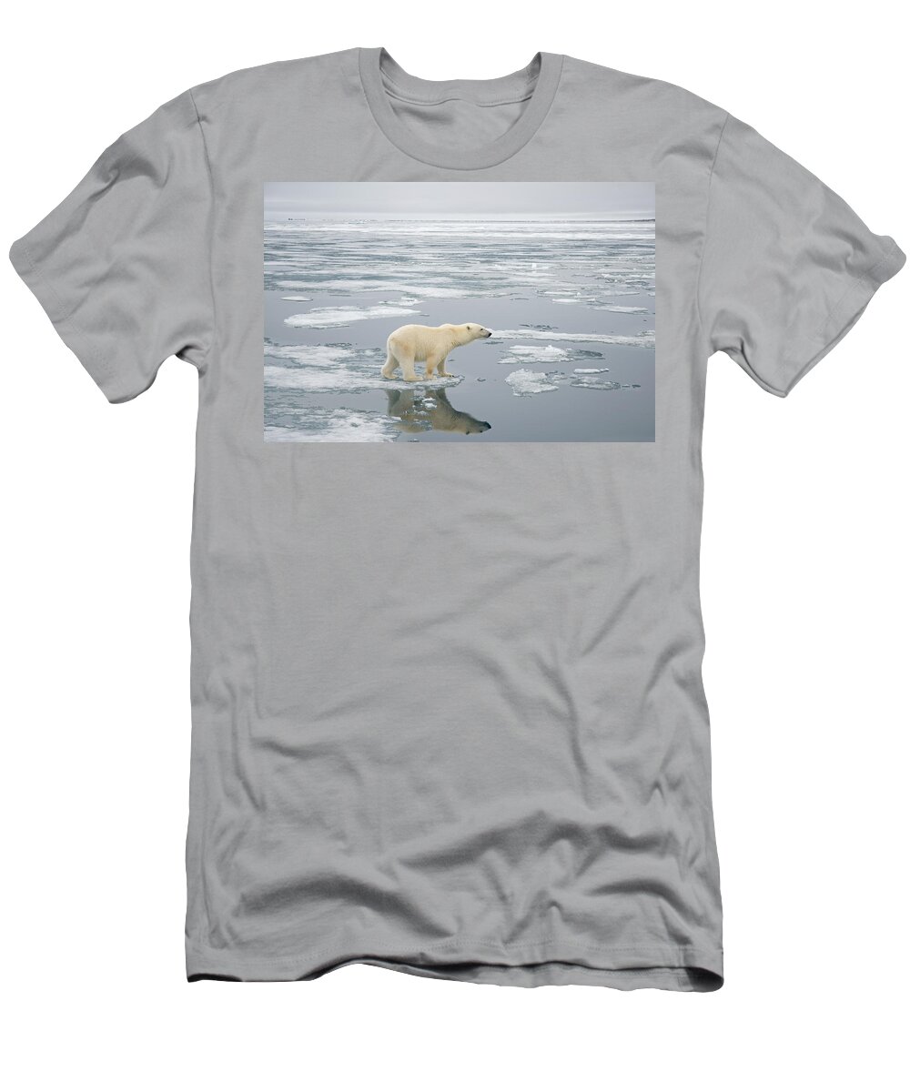 Kazlowski T-Shirt featuring the photograph Polar Bear Travels On Sea Ice Floating #3 by Steven Kazlowski