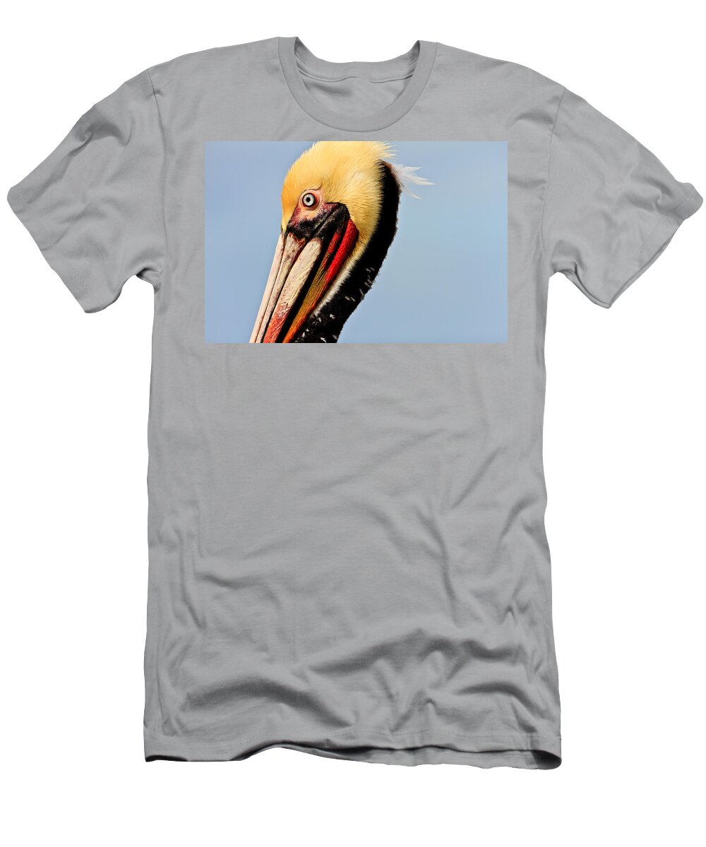 Pelican T-Shirt featuring the photograph Brown Pelican #4 by Ben Graham