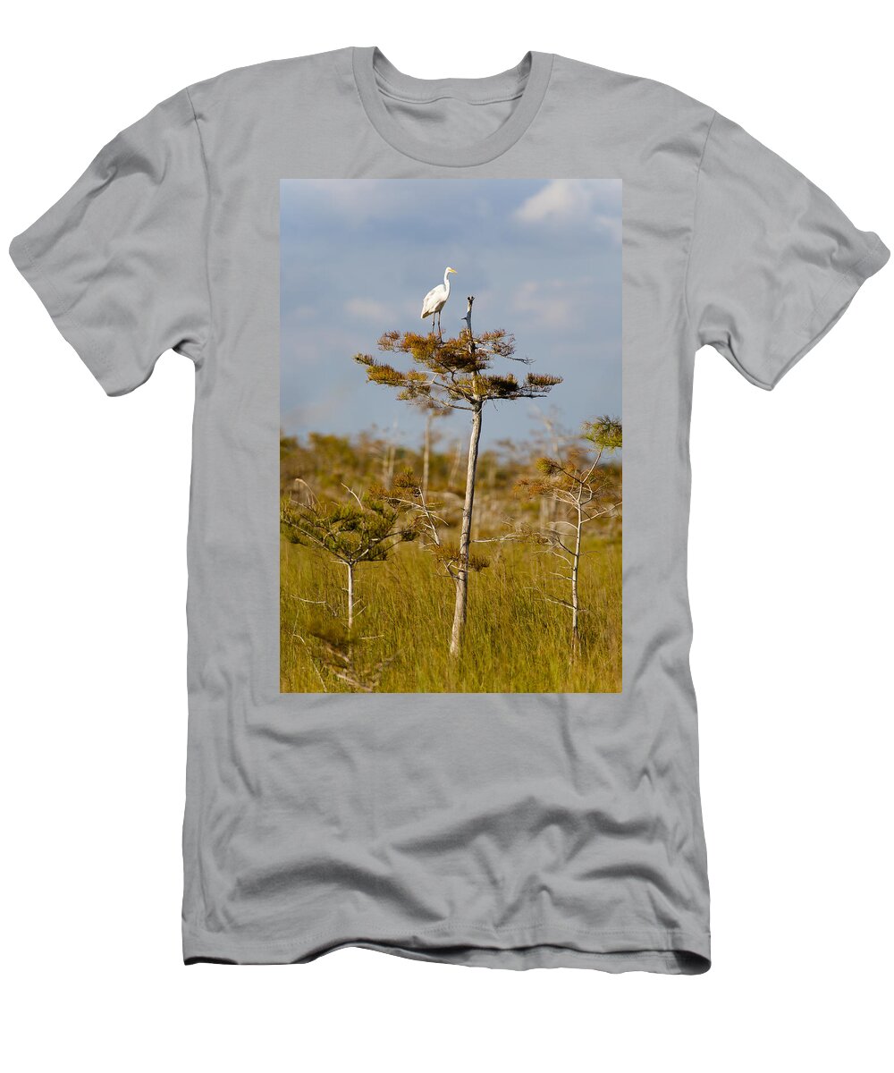 Egret T-Shirt featuring the photograph Great White Egret by Raul Rodriguez