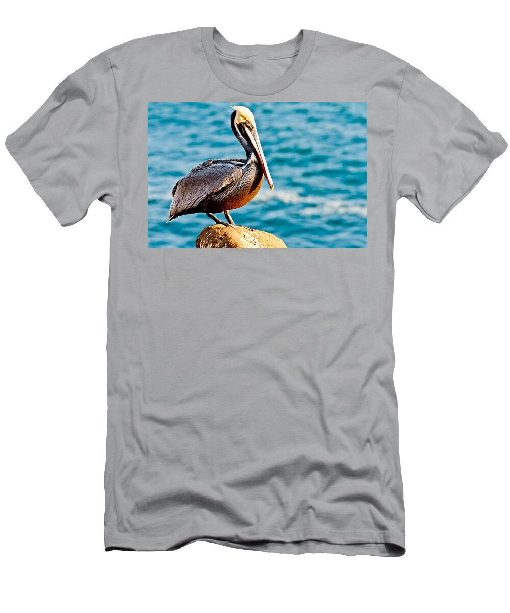 Pelican T-Shirt featuring the photograph Brown Pelican #6 by Ben Graham