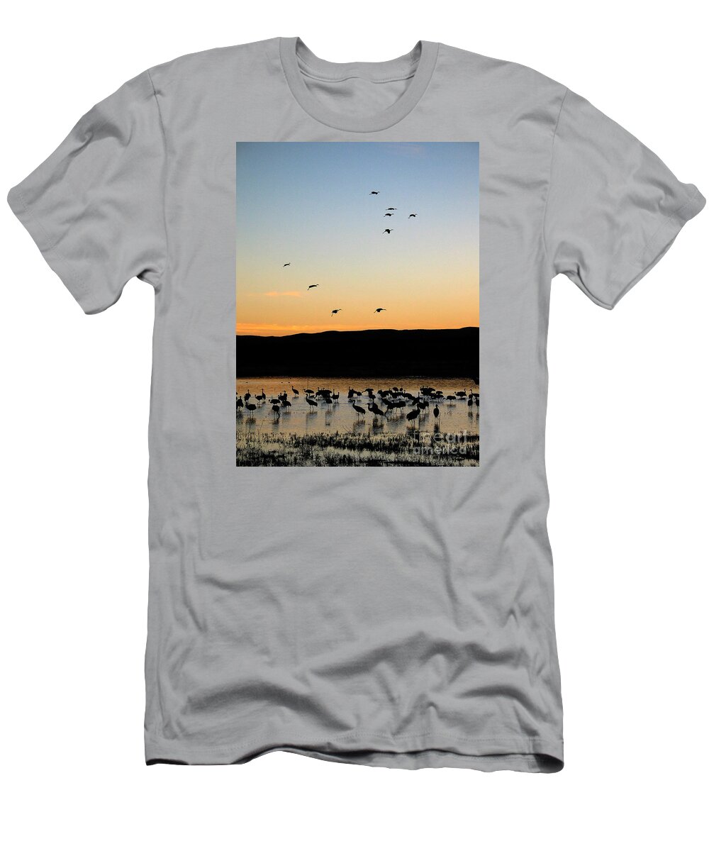 Birds T-Shirt featuring the photograph Sandhill Cranes #3 by Steven Ralser