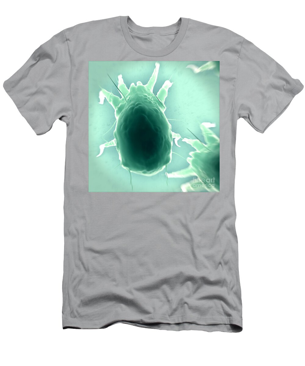 3d Model T-Shirt featuring the photograph House Dust Mites #8 by Science Picture Co