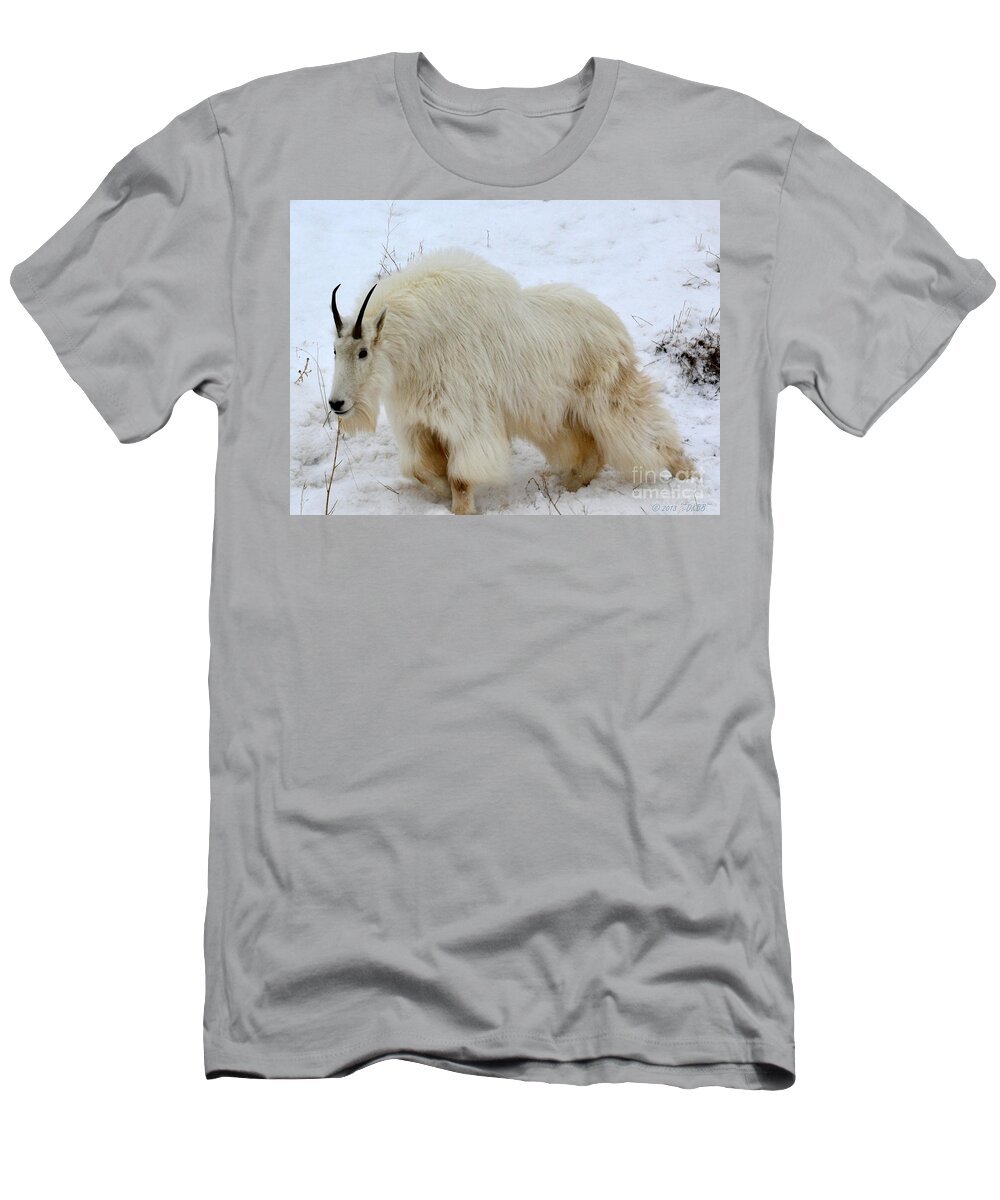 Mountain Goat T-Shirt featuring the photograph A Beautiful Woman by Dorrene BrownButterfield