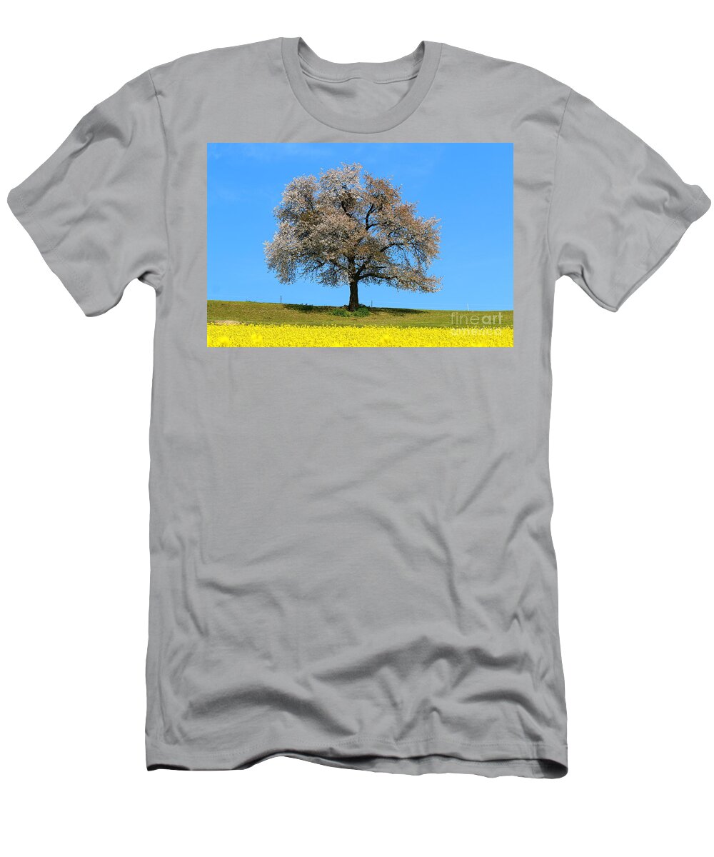  Agriculture T-Shirt featuring the photograph A blooming lone Tree in Spring with canolas in front 2 by Amanda Mohler