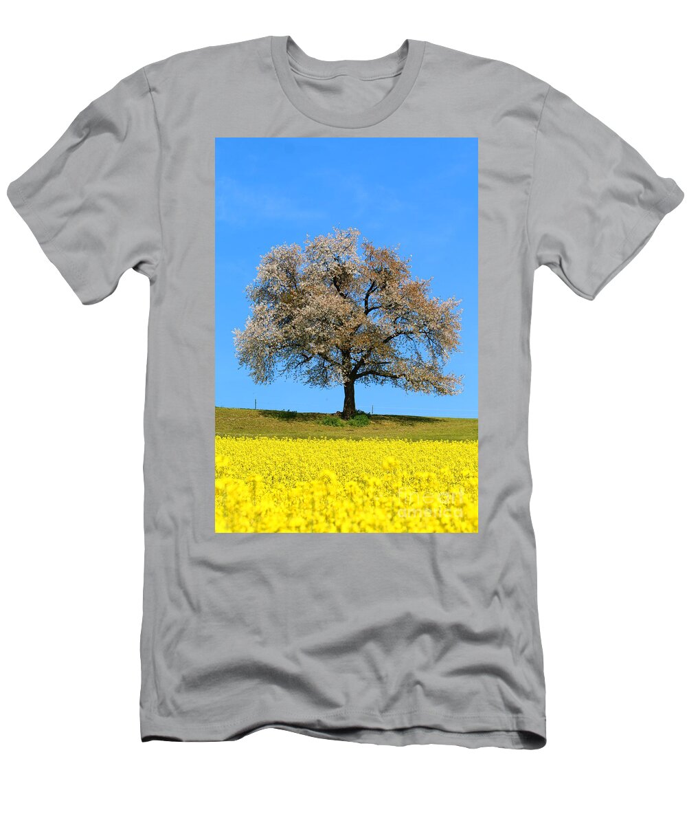  Agriculture T-Shirt featuring the photograph A blooming lone Tree in Spring with canolas in front by Amanda Mohler