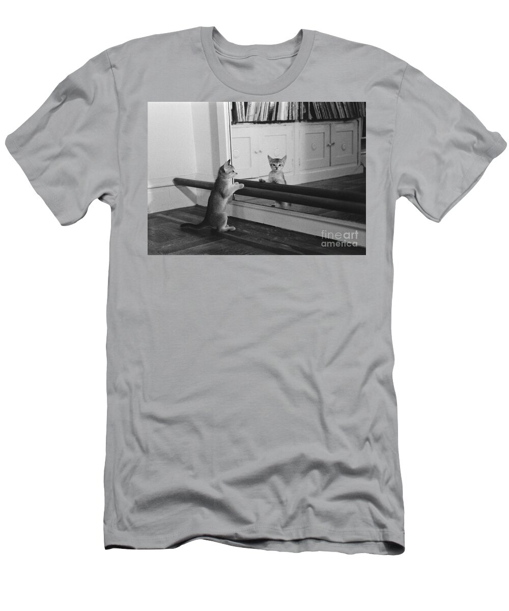 Animal T-Shirt featuring the photograph Abyssinian Kitten In Dance Studio by Joan Baron