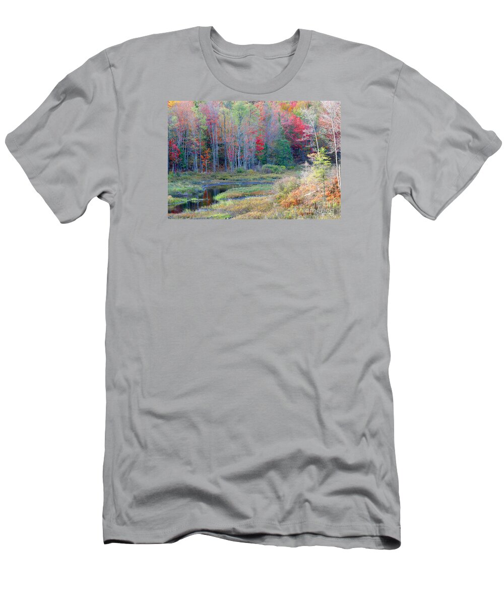 Trees T-Shirt featuring the photograph Adirondack Fall by Mariarosa Rockefeller