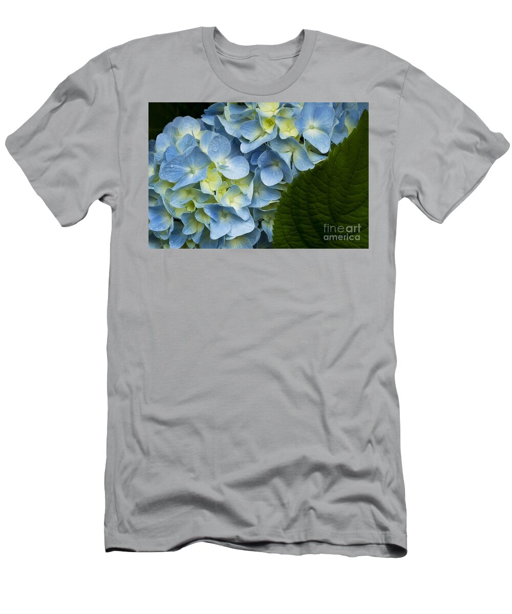 Hydrangea T-Shirt featuring the photograph After The Rain by Carrie Cranwill