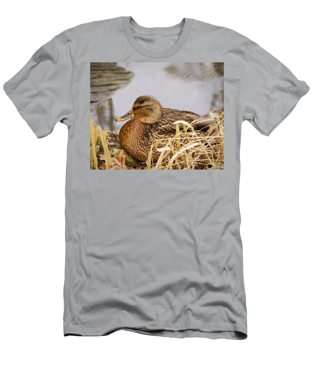 Afternoon Siesta T-Shirt featuring the photograph Afternoon Siesta by Jordan Blackstone