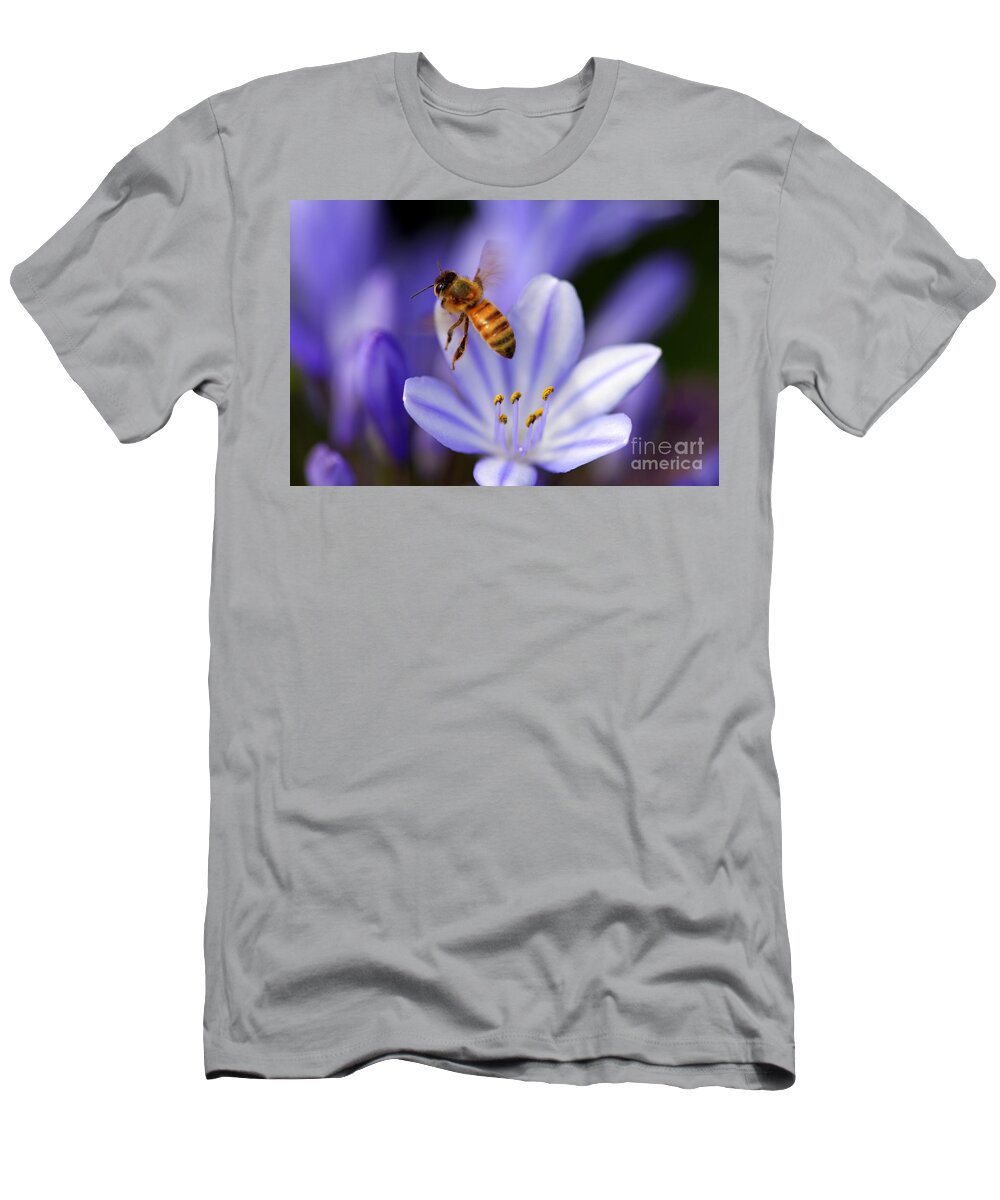 Bee T-Shirt featuring the photograph Agapanthus Africanus by Henrik Lehnerer