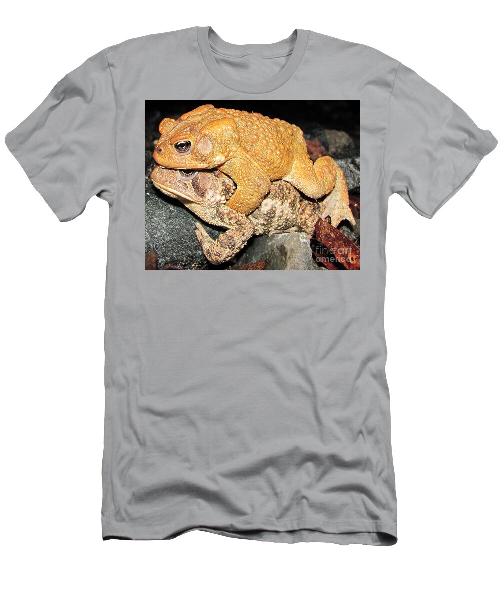 Golden Toad T-Shirt featuring the photograph American Toads by Joshua Bales