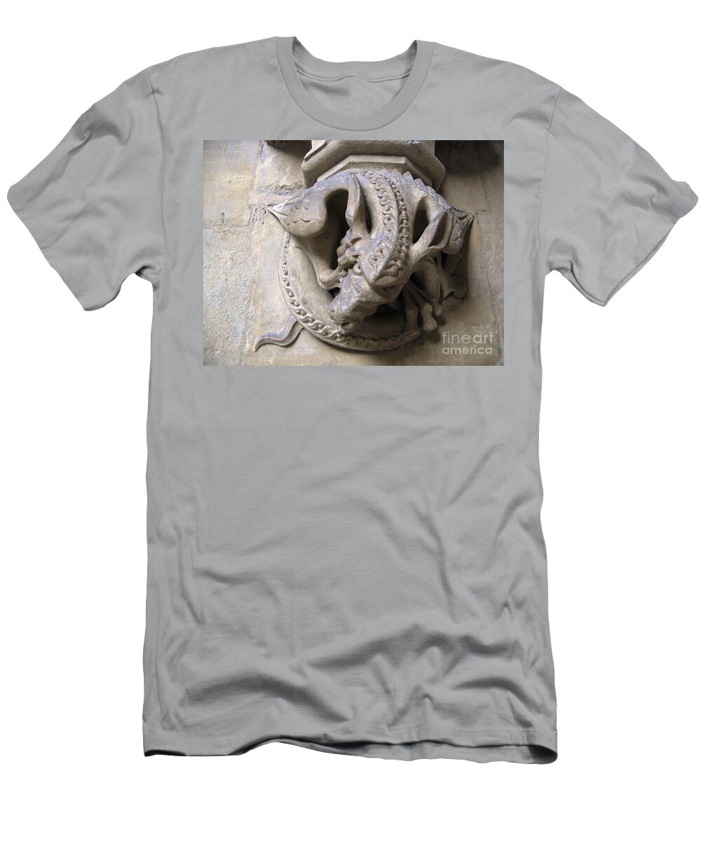 Dragon T-Shirt featuring the photograph Angry Dragon by Denise Railey