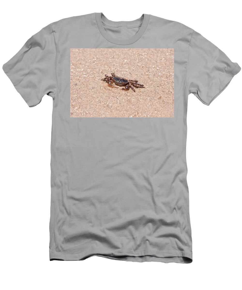 Asian Shore Crab T-Shirt featuring the photograph Asian Shore Crab by Andrew J. Martinez
