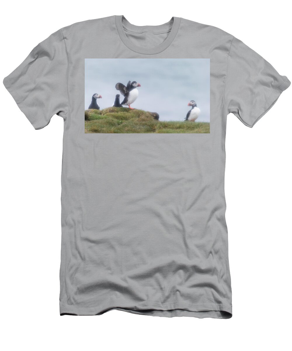 Photography T-Shirt featuring the photograph Atlantic Puffins Fratercula Arctica by Panoramic Images