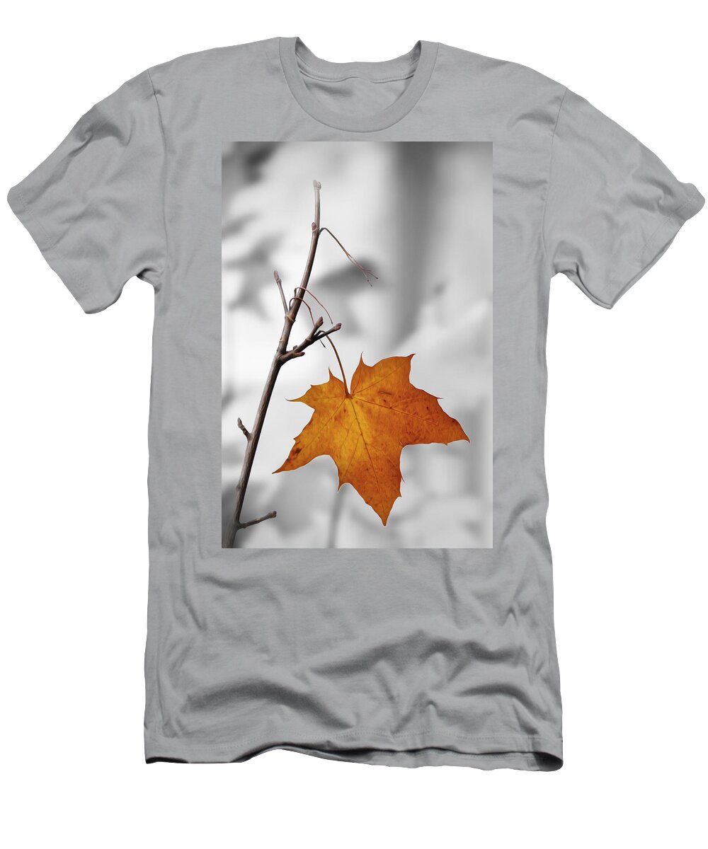 Autumn T-Shirt featuring the photograph Autumn Leaf by Veli Bariskan