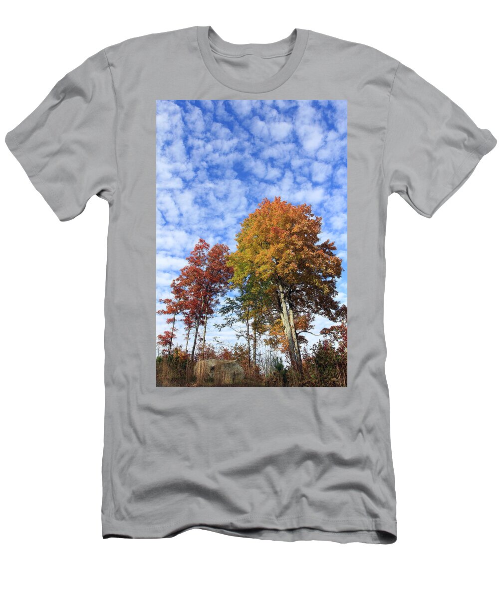 Scenic T-Shirt featuring the photograph Autumn Perfection by Jennifer Robin