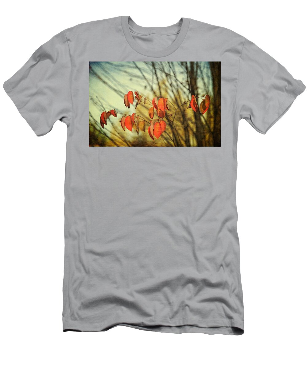 Autumn T-Shirt featuring the photograph Autumn by Theresa Tahara