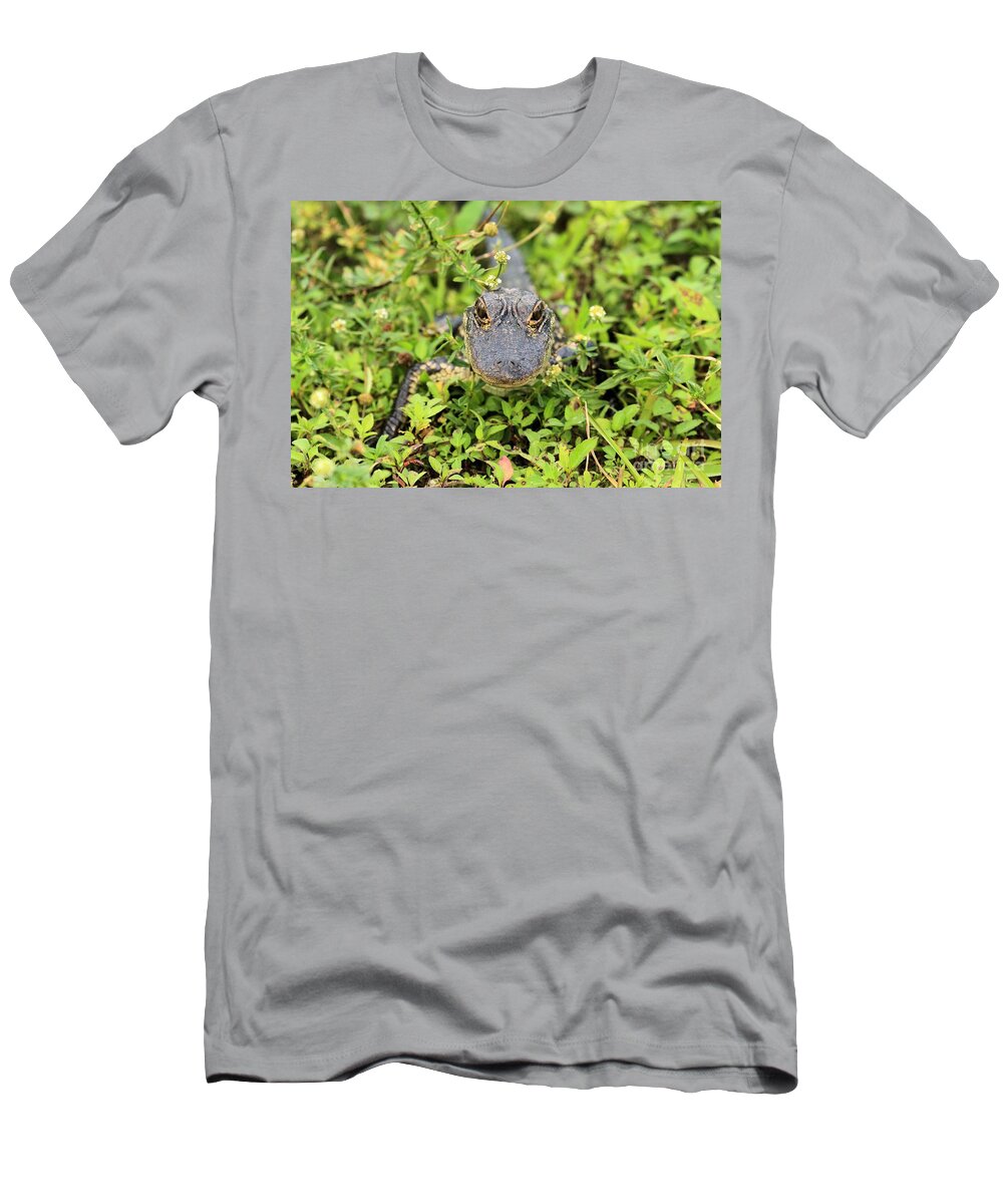 Alligator T-Shirt featuring the photograph Baby Gator by Adam Jewell