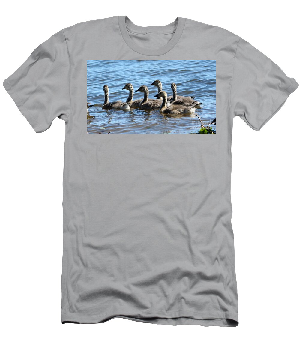 Wildlife T-Shirt featuring the photograph Baby Geese by Lori Tordsen