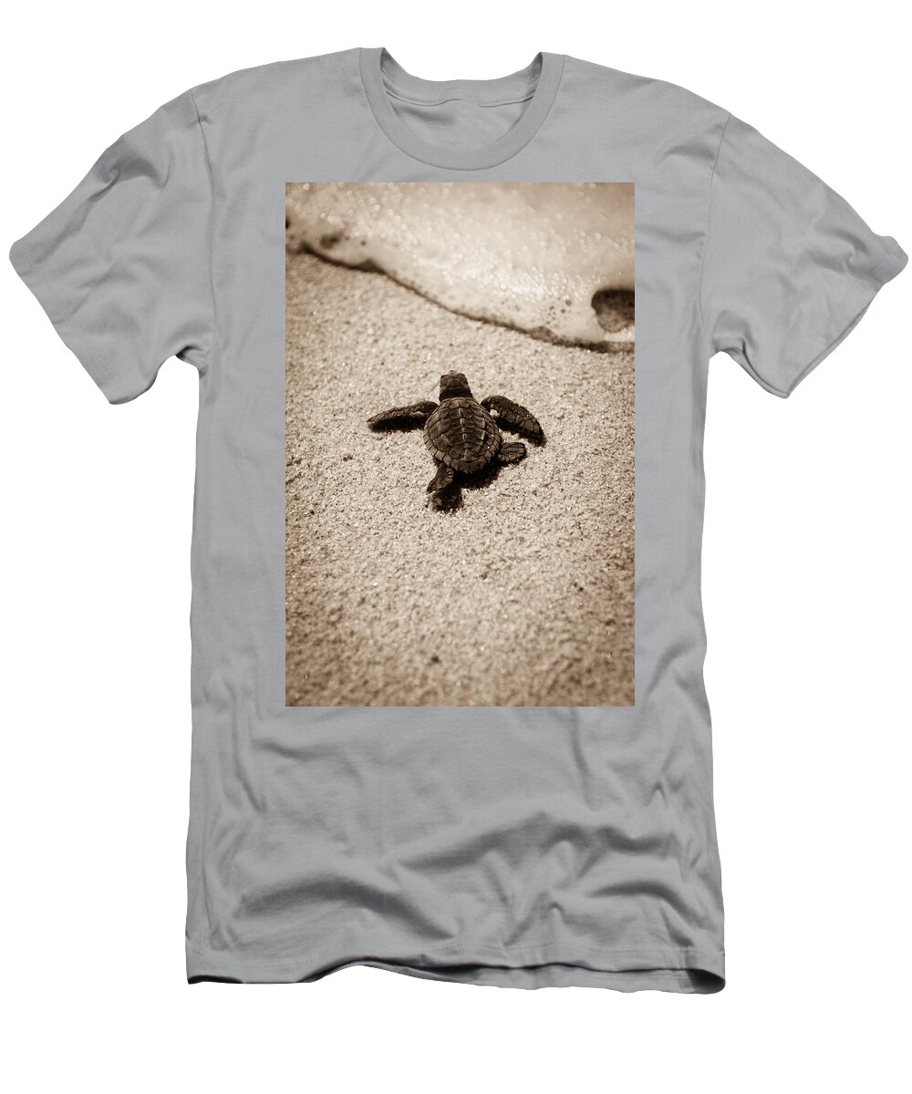 Baby Loggerhead T-Shirt featuring the photograph Baby Sea Turtle by Sebastian Musial