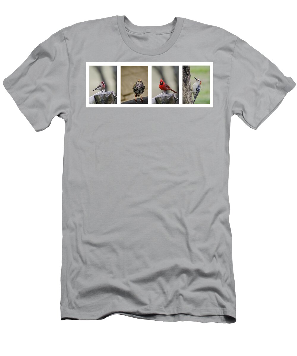 Bird T-Shirt featuring the photograph Backyard Bird Set by Heather Applegate