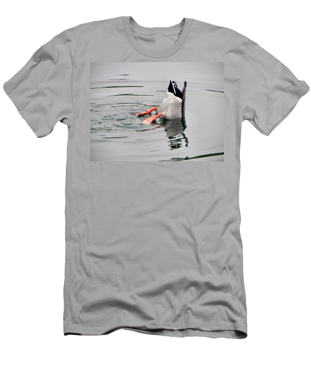 Duck T-Shirt featuring the photograph Bad Landing by Deb Halloran