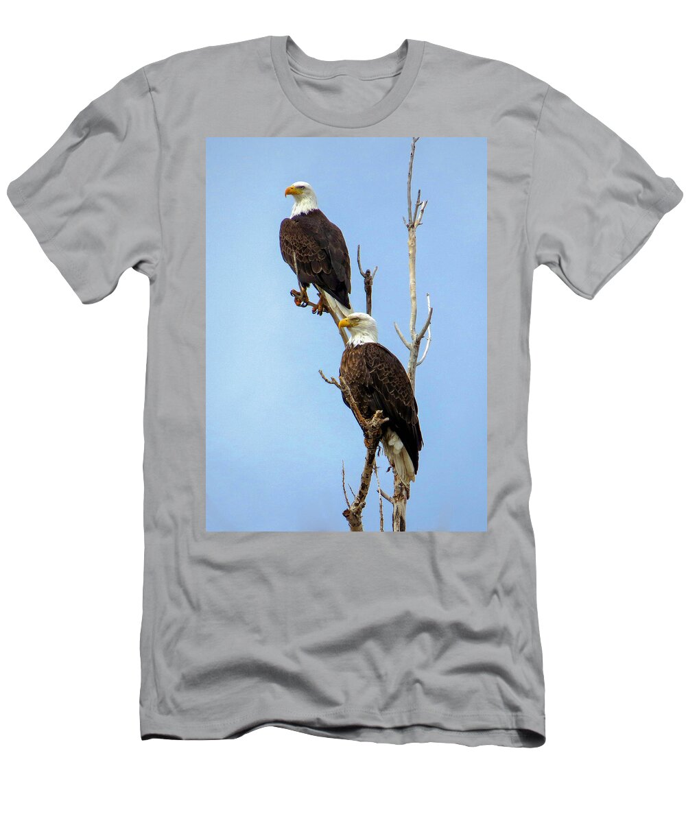 Bald Eagles T-Shirt featuring the photograph Bald Eagle Pair Perched by Dawn Key