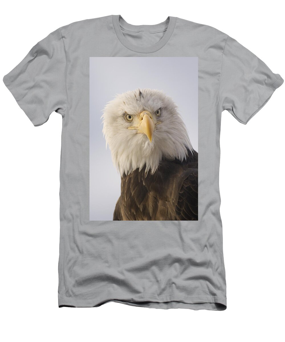 Feb0514 T-Shirt featuring the photograph Bald Eagle Portrait Alaska by Michael Quinton