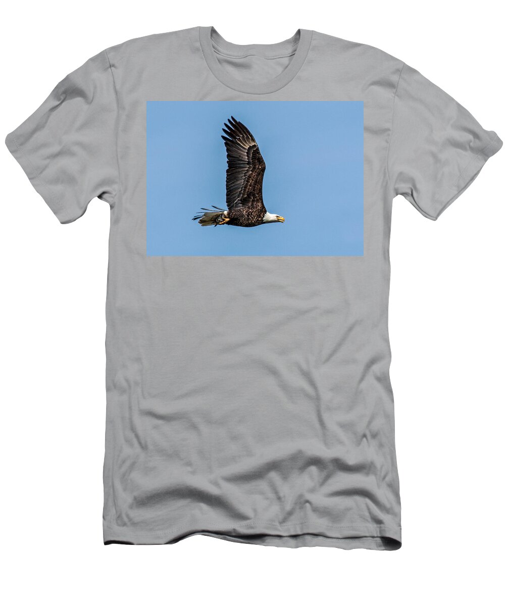 American T-Shirt featuring the photograph Bald Eagle with Catch of the Day by Dawn Key