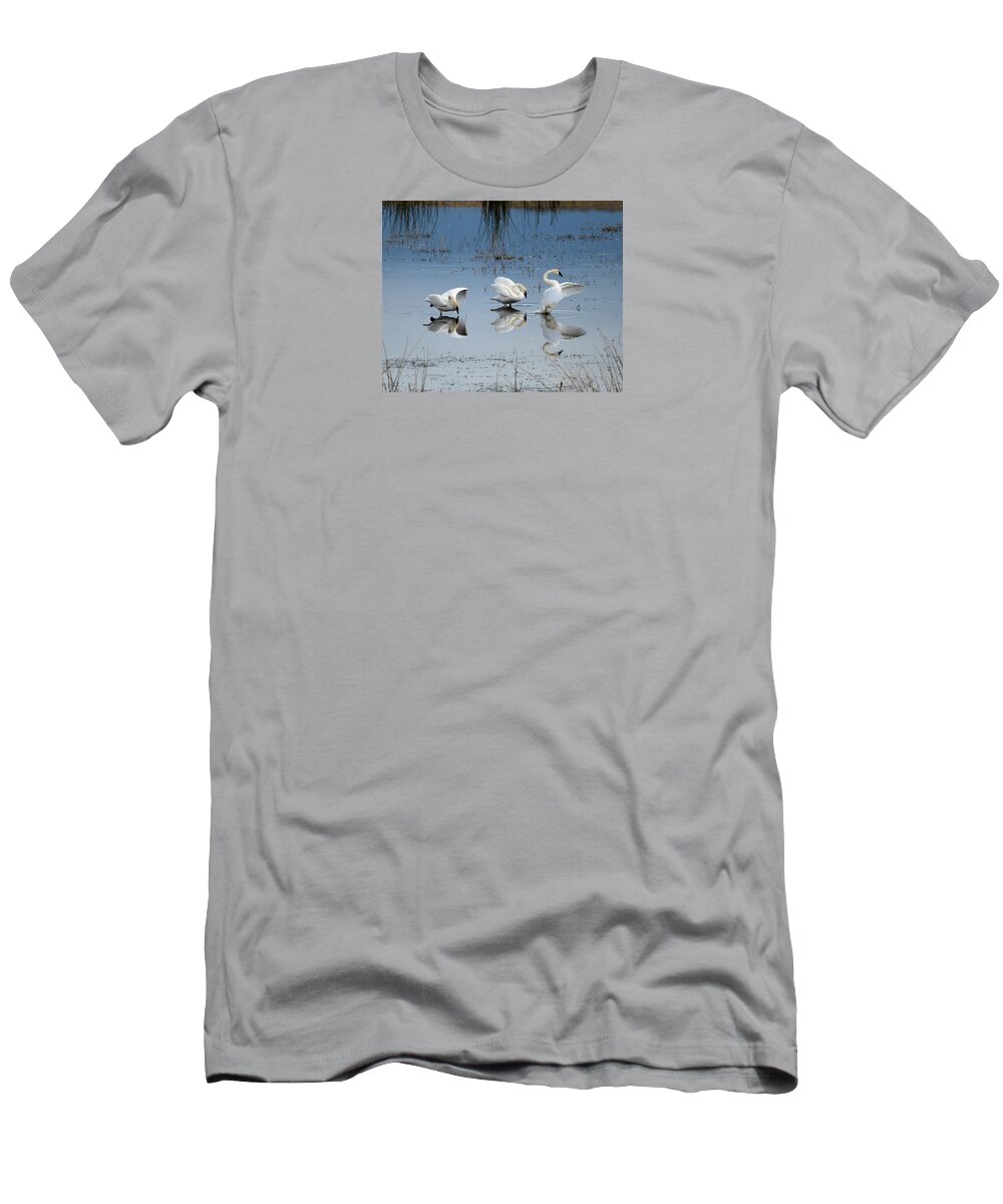 Trumpeter T-Shirt featuring the photograph Dance of the Trumpeters by Whispering Peaks Photography