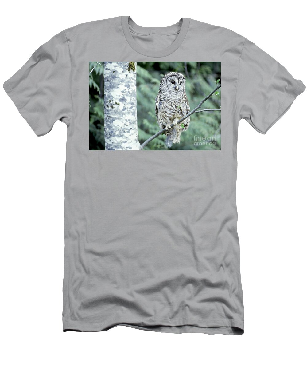 Barred Owl T-Shirt featuring the photograph Barred Owl by Art Wolfe