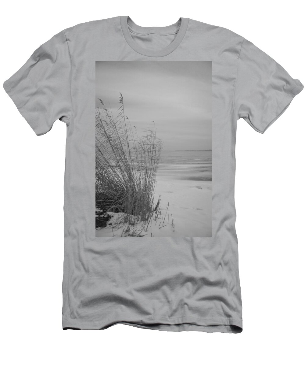 Island Of Ruegen T-Shirt featuring the photograph Beach Grass In The Snow by Ralf Kaiser