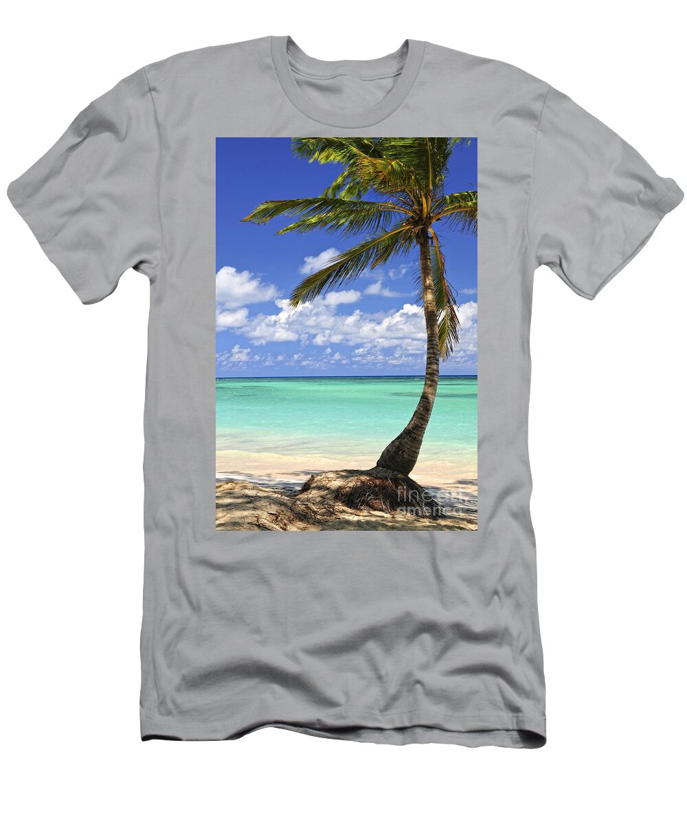 Beach T-Shirt featuring the photograph Beach of a tropical island by Elena Elisseeva