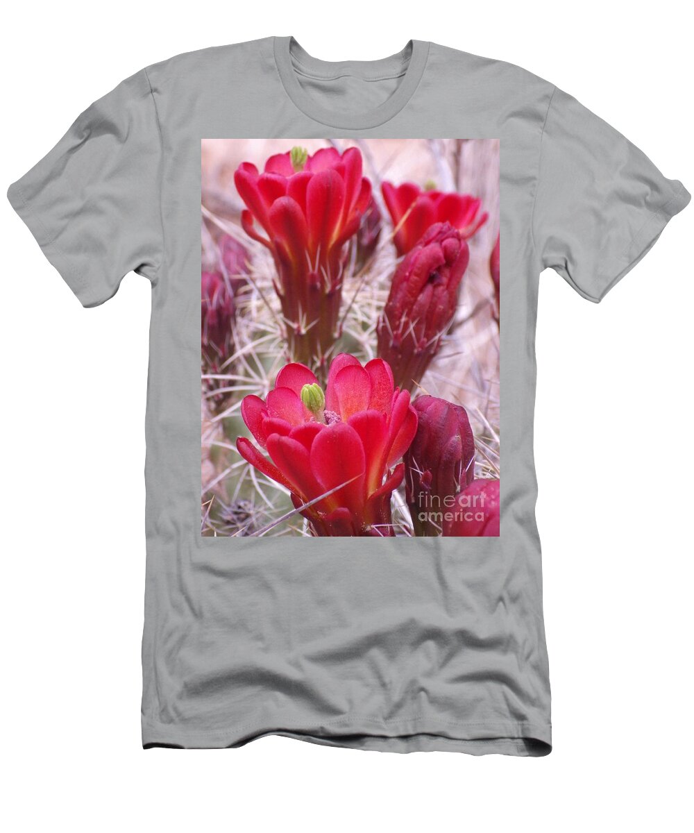 Prickly Pear T-Shirt featuring the photograph Beauty in the Thorns by Tonya Hance
