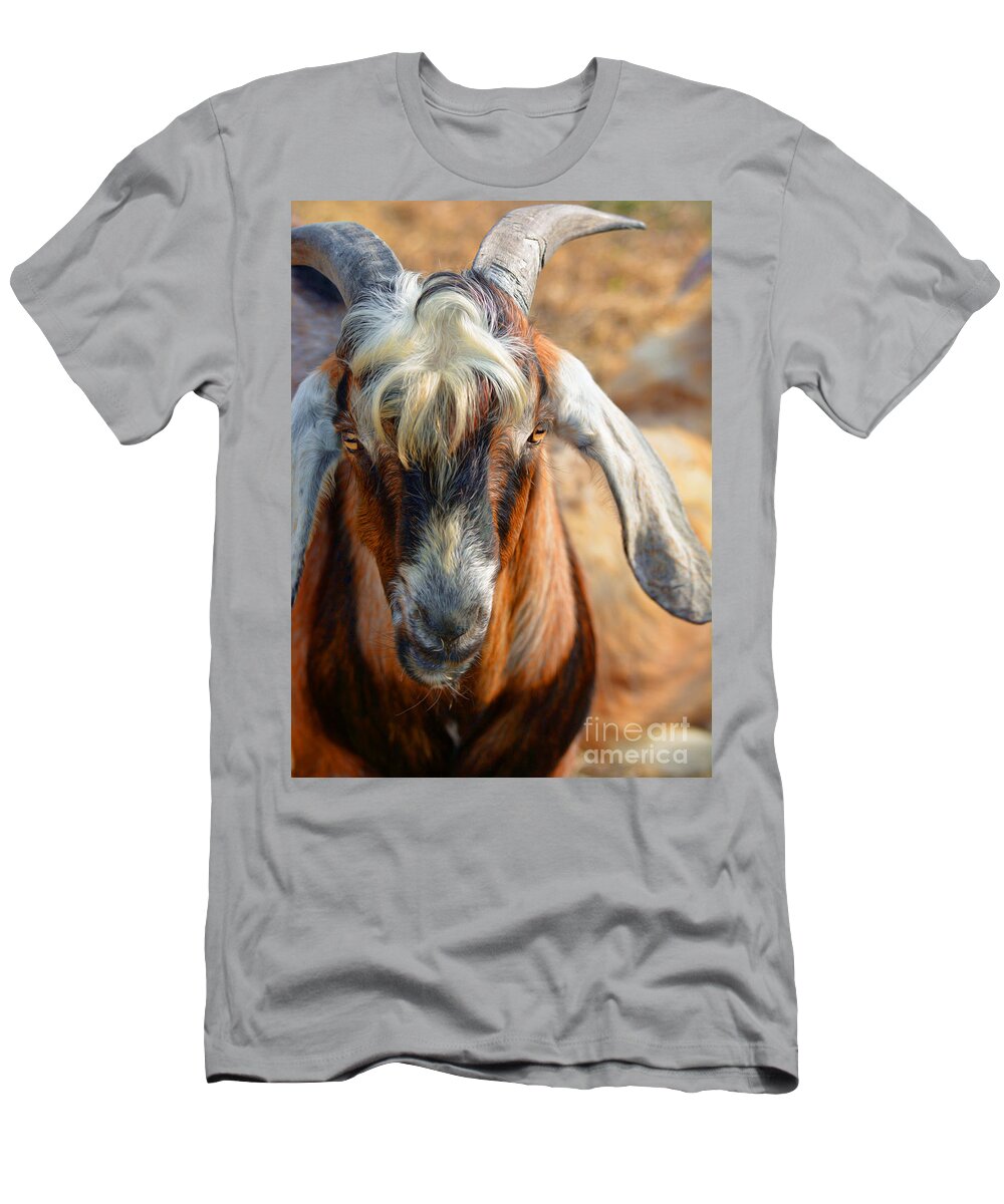 Goats T-Shirt featuring the photograph Billy Goat by Savannah Gibbs